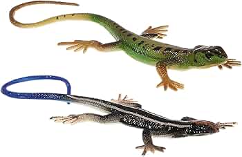 61YNHgMdlLL._AC_UF350,