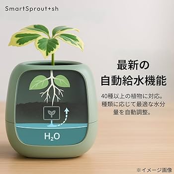 Amazon.co.jp: 【国内販売正規品】 Ivyスマートプランター スマート Amazon.co.jp: 【国内販売正規品】 Ivyスマートプランター スマート