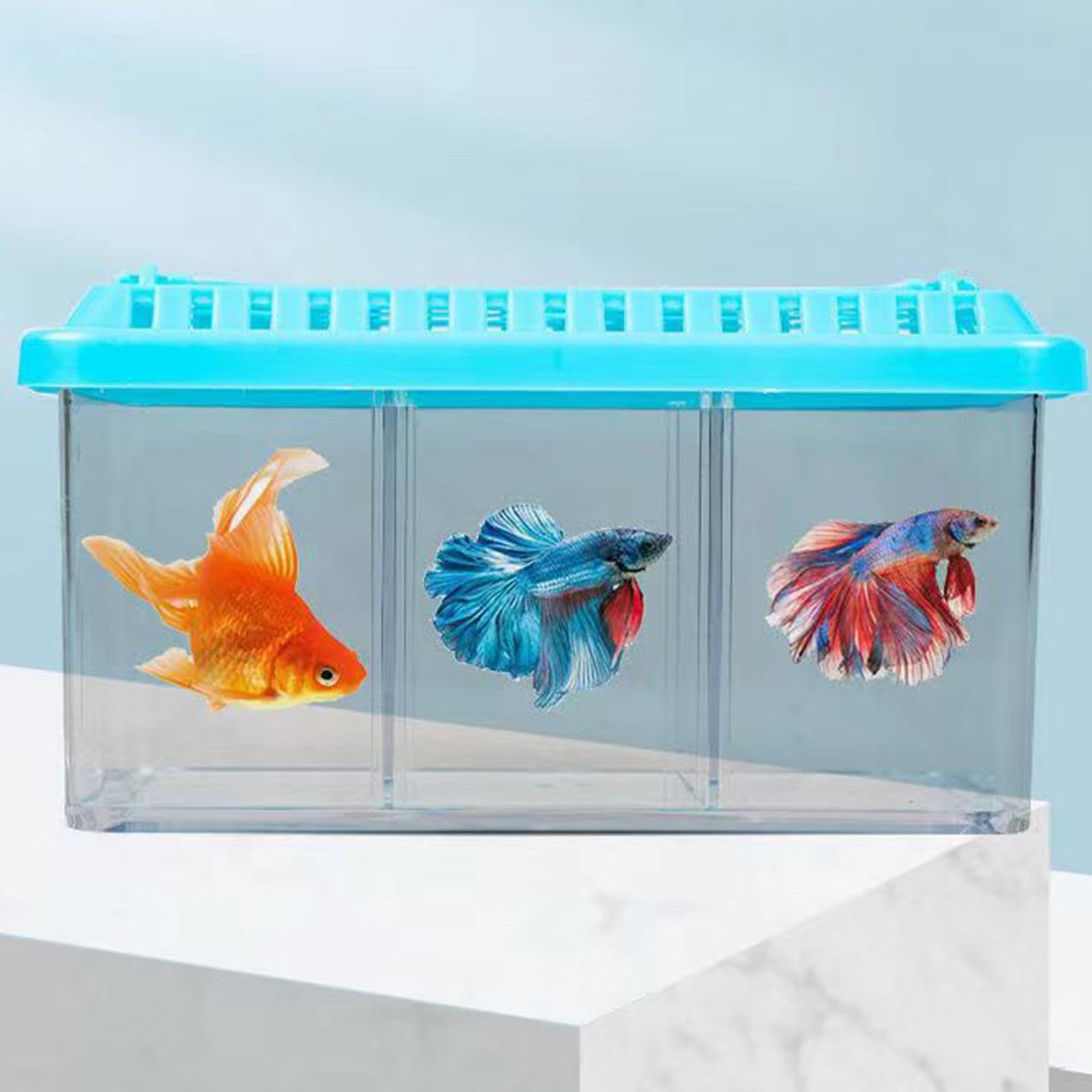 Ciotola Per Pesci Rotonda 12,5cm - Plastica Trasparente, Per Decorazione O Piccoli Pesci - Foto 9