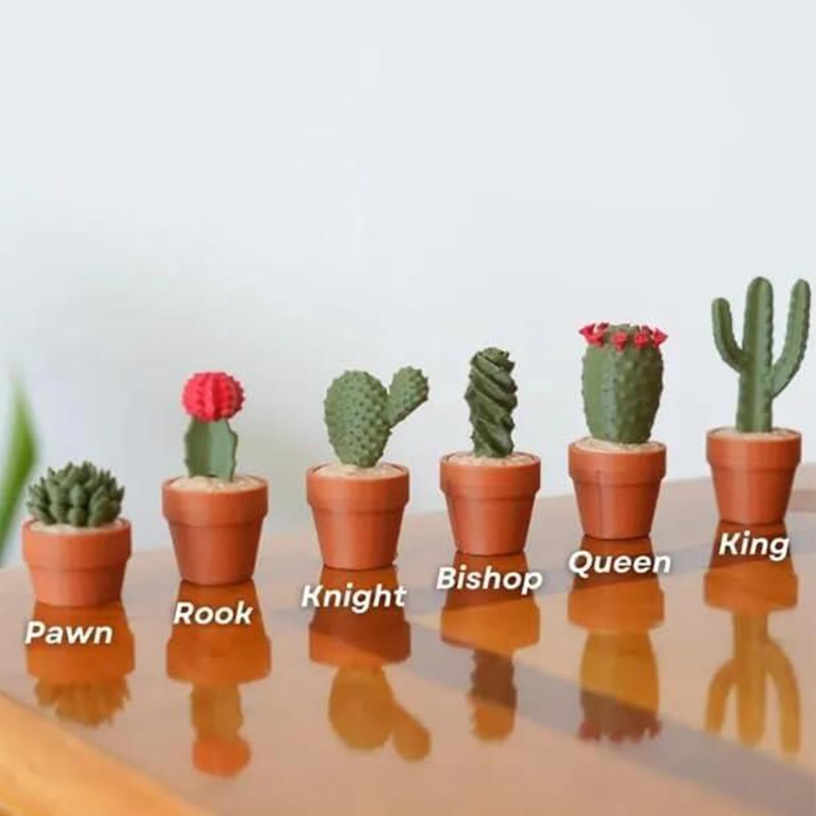 Set Scacchi Cactus, Arrotolabile Set Scacchi Cactus, 3D Stampata Magnetica Scacchiera Divertenti Cactuses, Portatili Arrotolabili Sets Scacchis Viaggio Pezzi Unici Piante Grasse, Per Bambini Adulti