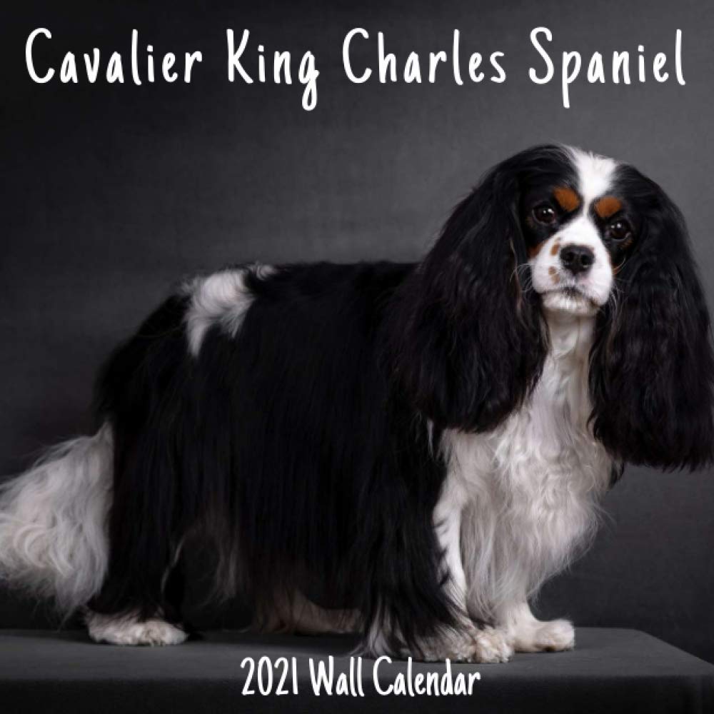 Cavalier King Charles Spaniel 2021 Wall Calendar: Cavalier King Charles Spaniel 2021 Calendar, 18 Months.