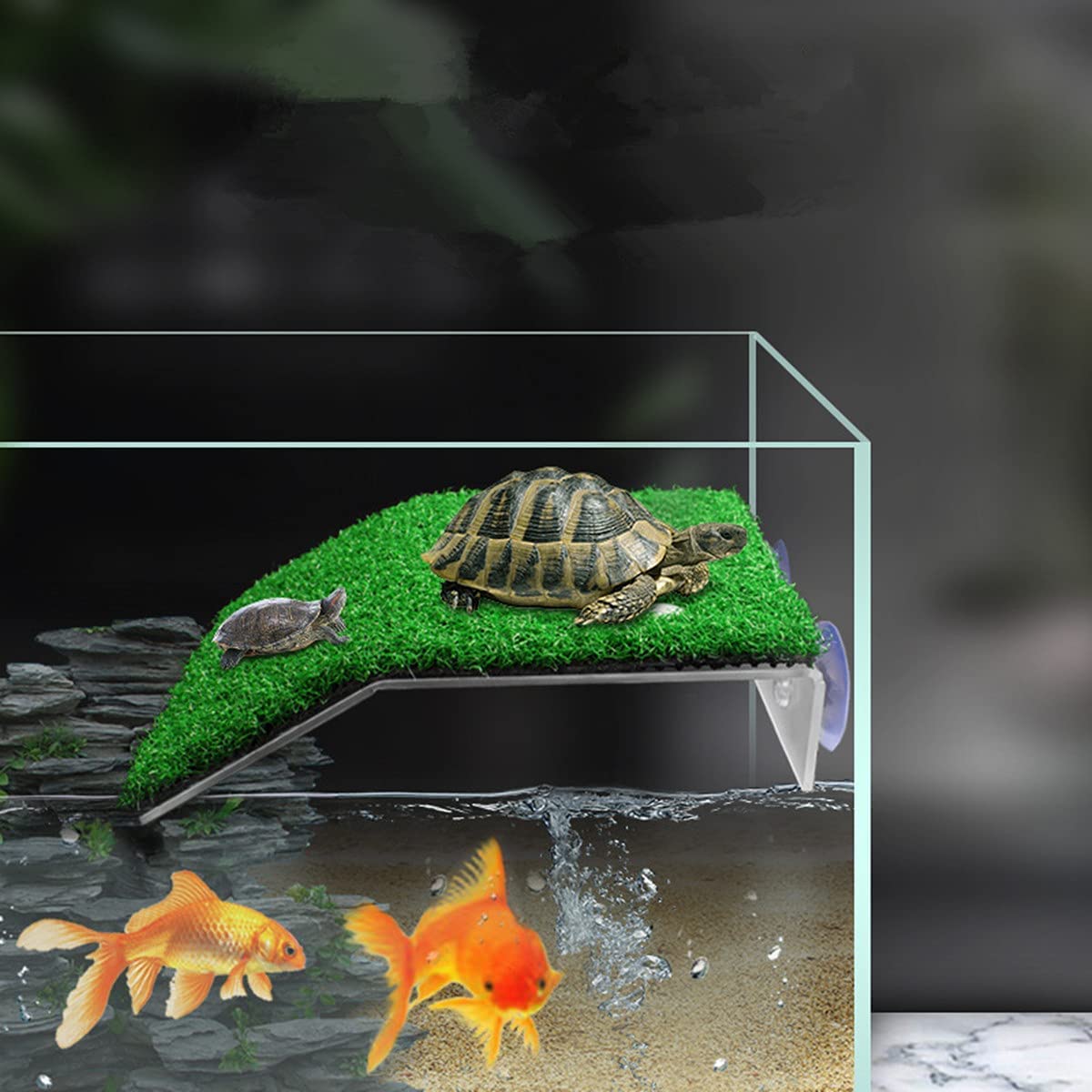 Plataforma para Tomar el para Tortugas CéSped Plataforma para Tomar el para Descansar para Tortugas, Rampa Tortuga de Hierba de SimulacióN para Tanque de Tortugas, Reptil M