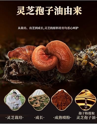 Miniatura 2 de Ganoderma Lucidum/Lingzhi hongo/aceite de extracto de esporas de Reishi 110 cápsulas blandas