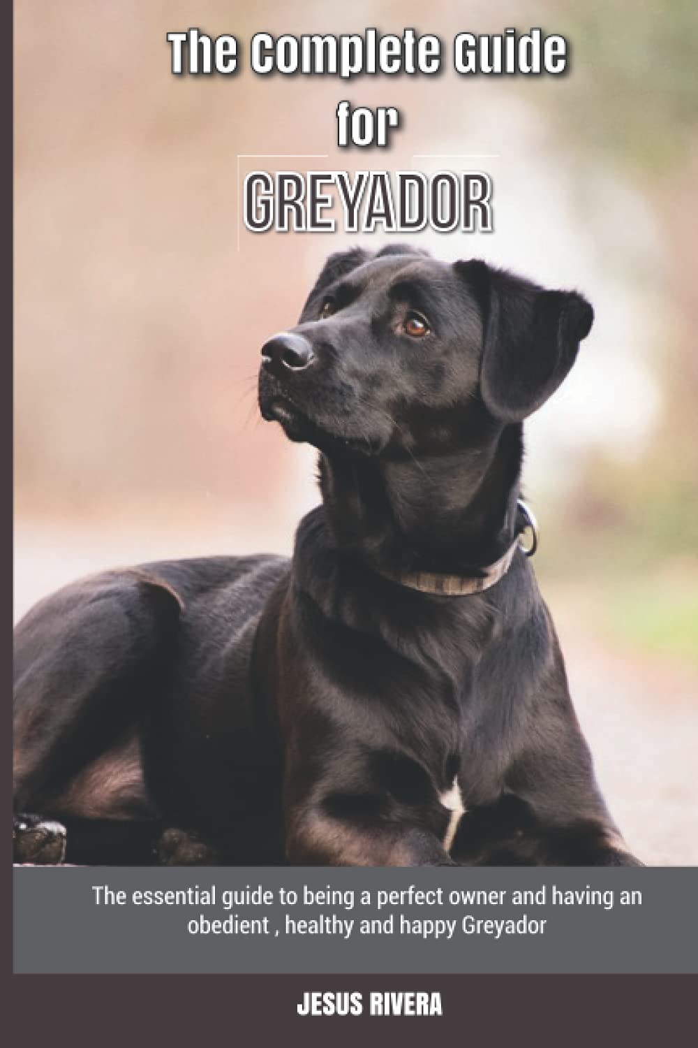The Complete Guide for Greyador: The essential guide to being a perfect owner and having an obedient, healthy, and happy Greyador