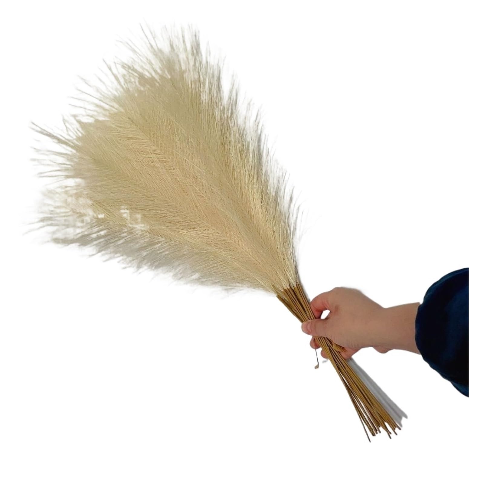 Faux Pampas 10PCS Fluffy Pampas Grass Flower Fake Plant Reed 55CM Artificial Plants Wedding for Decor