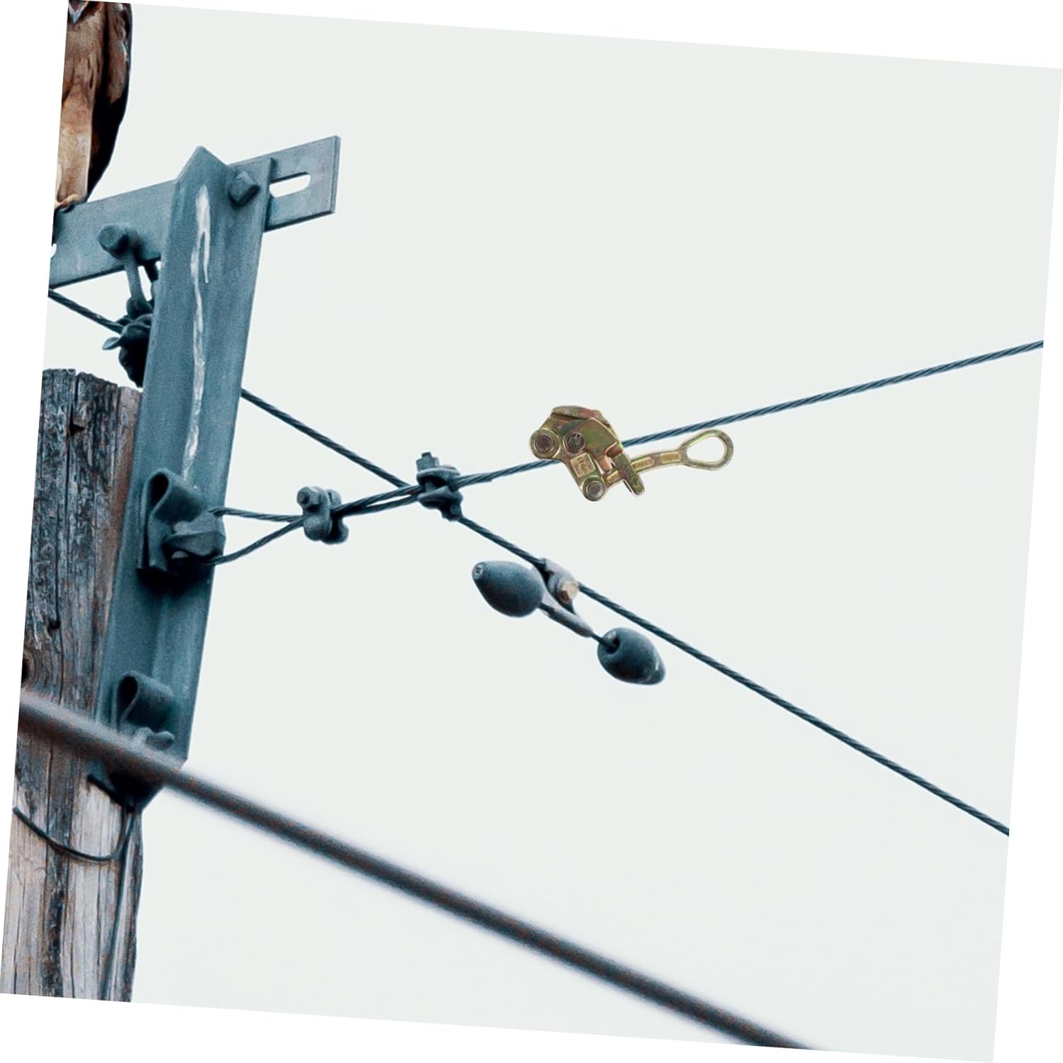 Multi-Functional Wire Grip Gripper Cable Clamp Tool for Tightening and Pulling Sturdy Steel Construction Adjustable Jaw Suitable for Electrical and Climbing Applications