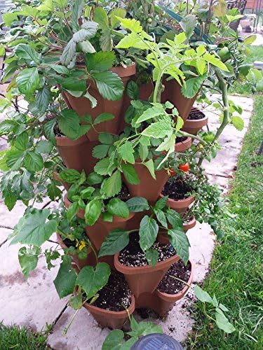 Miniatura 4 de Macetas apilables en vertical para jardinería, tamaño grande, de Mr. Stacky, haz crecer las plantas utilizando un espacio limitado y un mínimo