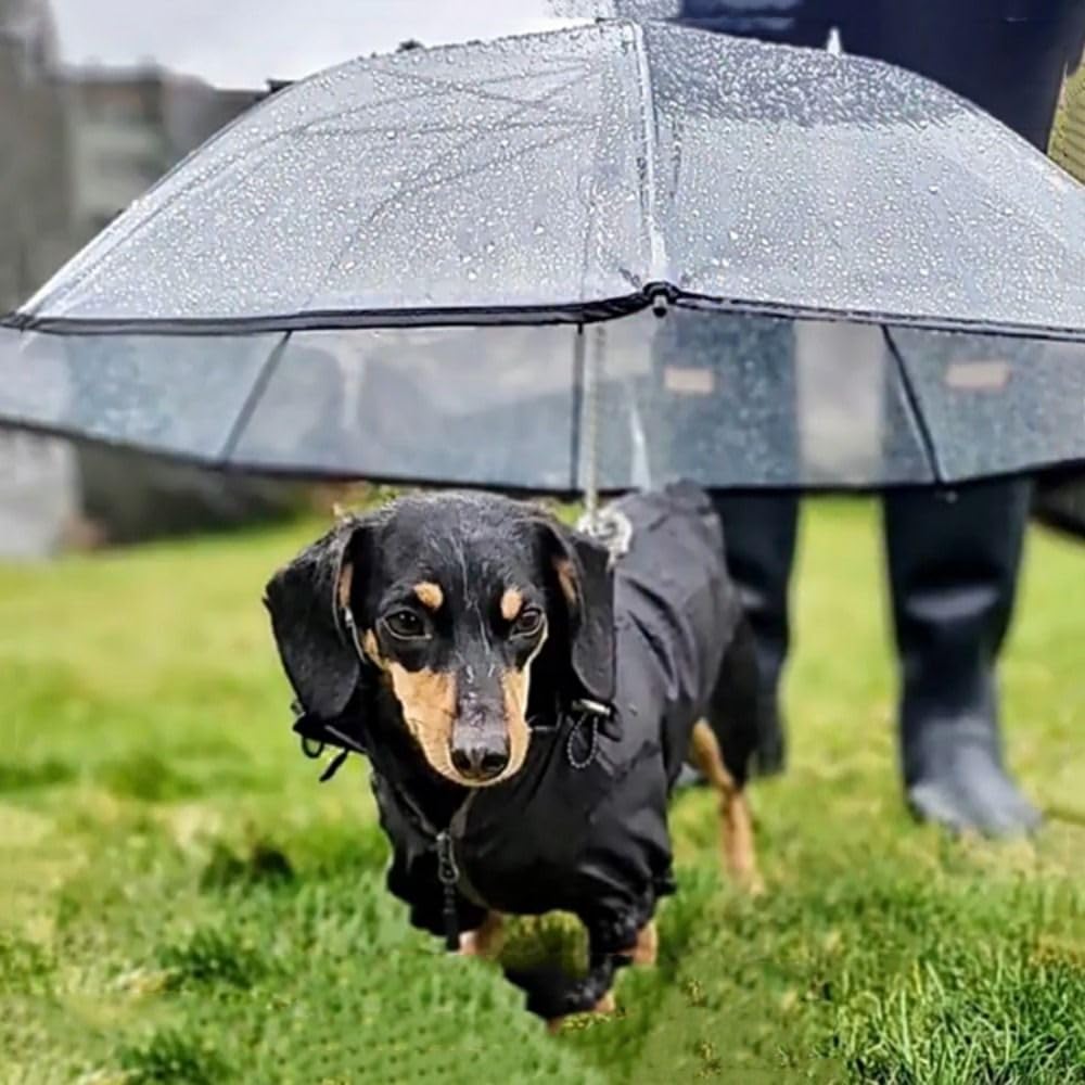 dog patio umbrella with Leash for Small Pets, Pet Transparent Umbrellas, Rainproof Snowproof Ajustable Straps Umbrella for Small Dogs Umbrella : Pet Supplies Do Fish Hooks Dissolve? Create a cool and Color:Bling Lac Seul Perch feelfree rod holder