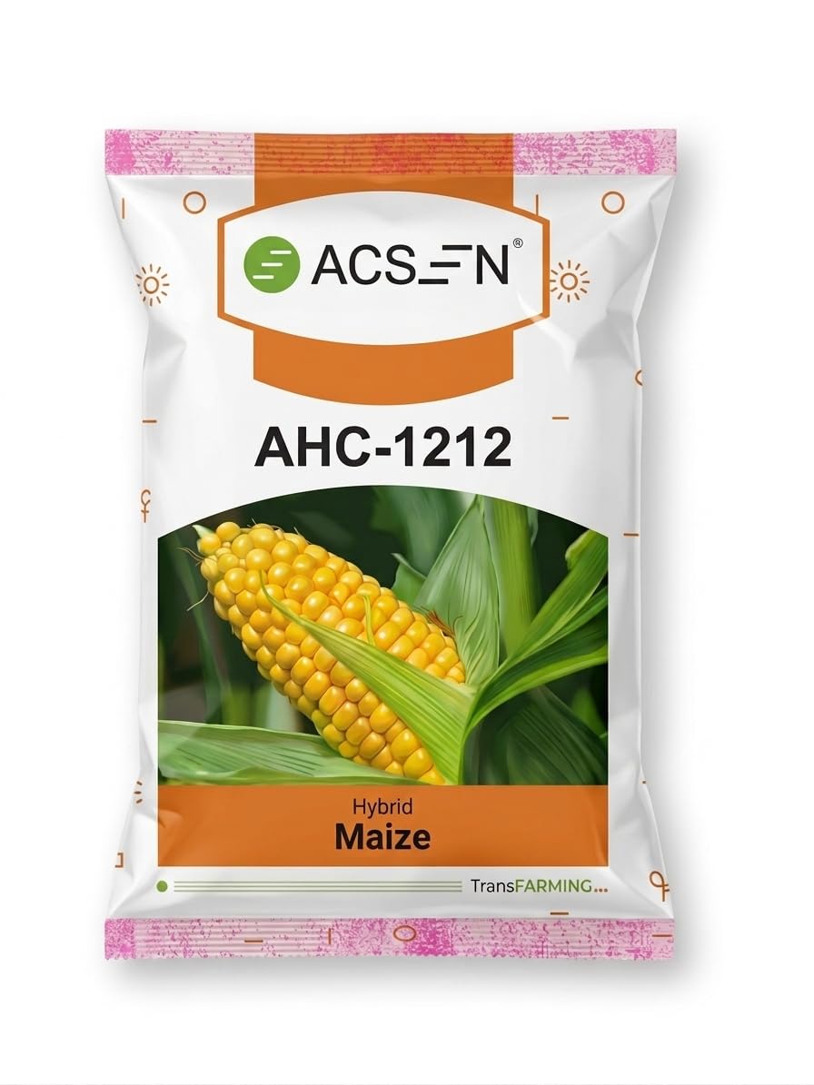 ACS-N AHC-1212 Hybrid Maize Seeds, High Yield Variety for