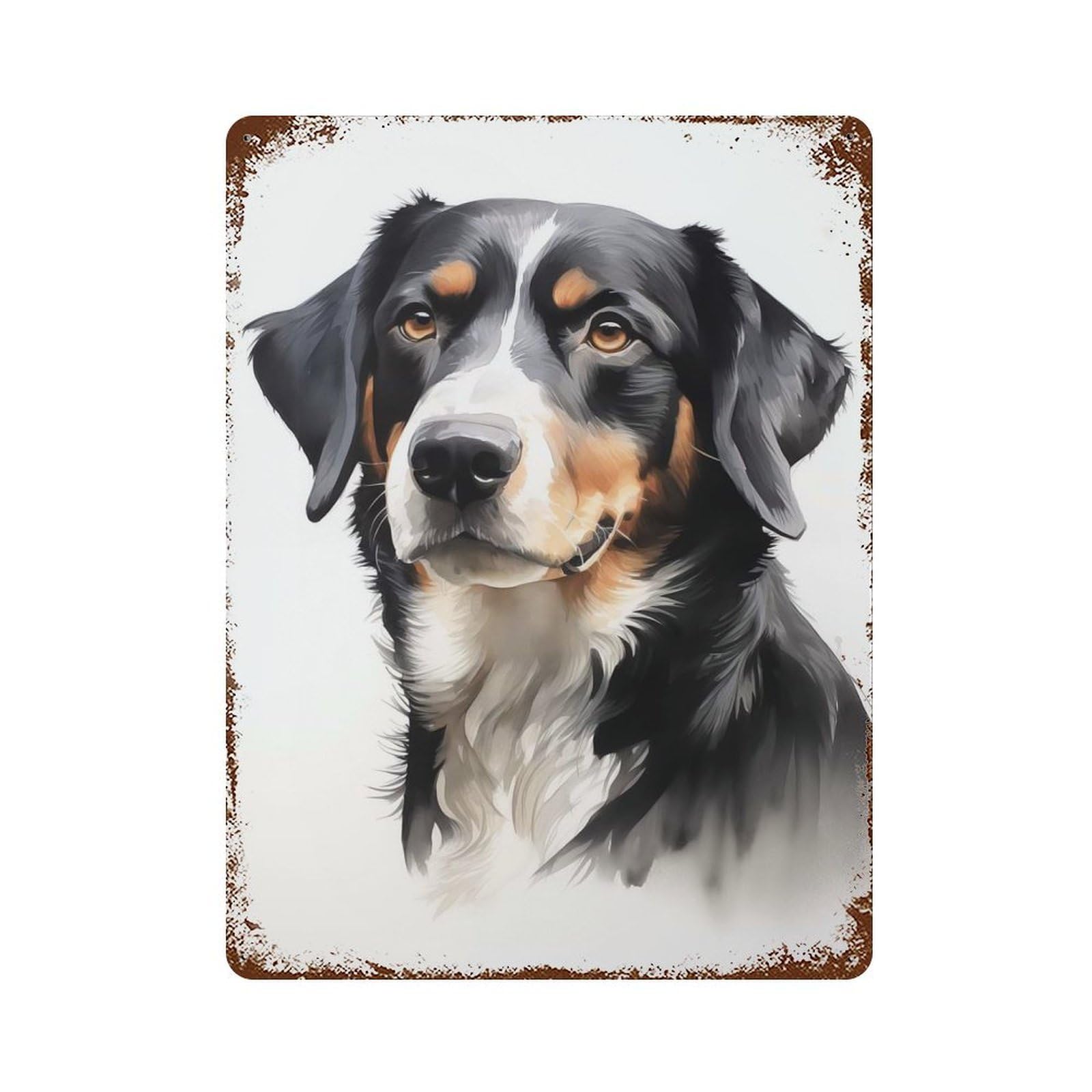 Retro Metal Sign Entlebucher Mountain Dog 15.7"x11.8", Retro Wall Decor for Living Room, Hallway And Home Decor