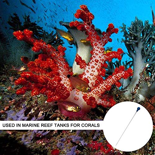 Auoker coral feeder SPS HPS feeder, lunga Arcylic