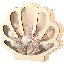 Seashell Display Box, Wooden Seashell Holder with Acrylic Panel