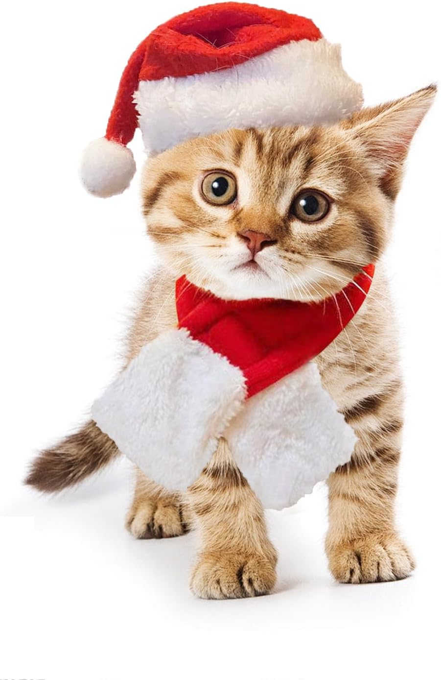 FUTERLYCat Santa Hat with Scarf Cat Christmas Costume Cat Christmas Hat Cat Christmas Outfit Pet Xmas Scarf Small Dog Christmas Hat Christmas Hat for Cats Puppy(L)