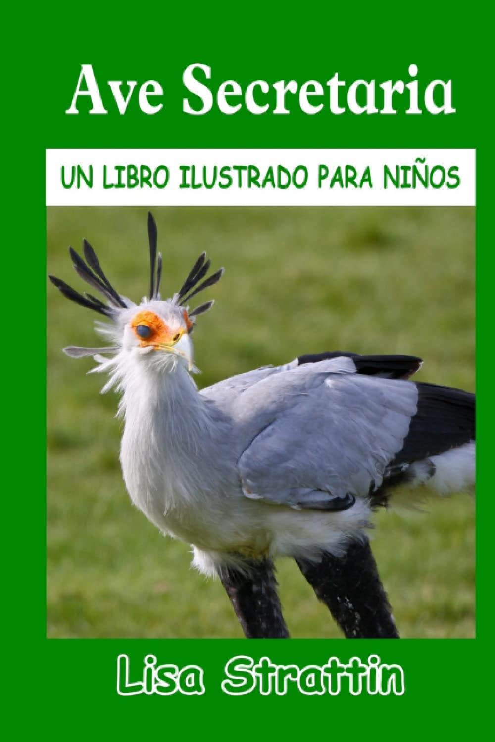 Ave Secretaria (Spanish Edition)