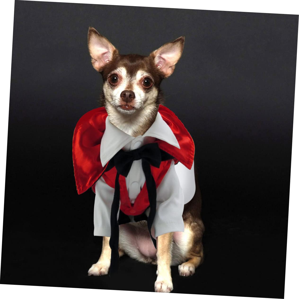 Angoily 2pezzi Costume Per Cani Halloween Vestito Da Vampiro Con Mantello Abbigliamento Per Animali Domestici Taglia Per Festeggiare La Notte Delle Streghe