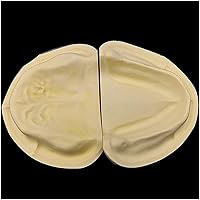 Vista 5 de Modelo dental oral - Modelo de dientes de yeso - Modelo de dientes de yeso súper duro y de alto relleno para enseñanza dental 2 piezas