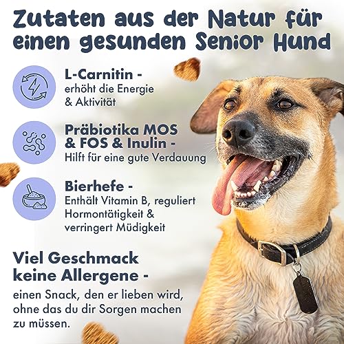 Hello Jack Senior Natürliches Hund Nahrungsergänzungsmittel - bis zu 7 Monate Vorrat - Vitamine für Energie, Gelenke und Verdauung für alte Hunde mit L-Carnitin, Präbiotika & Bierhefe – Bild 4