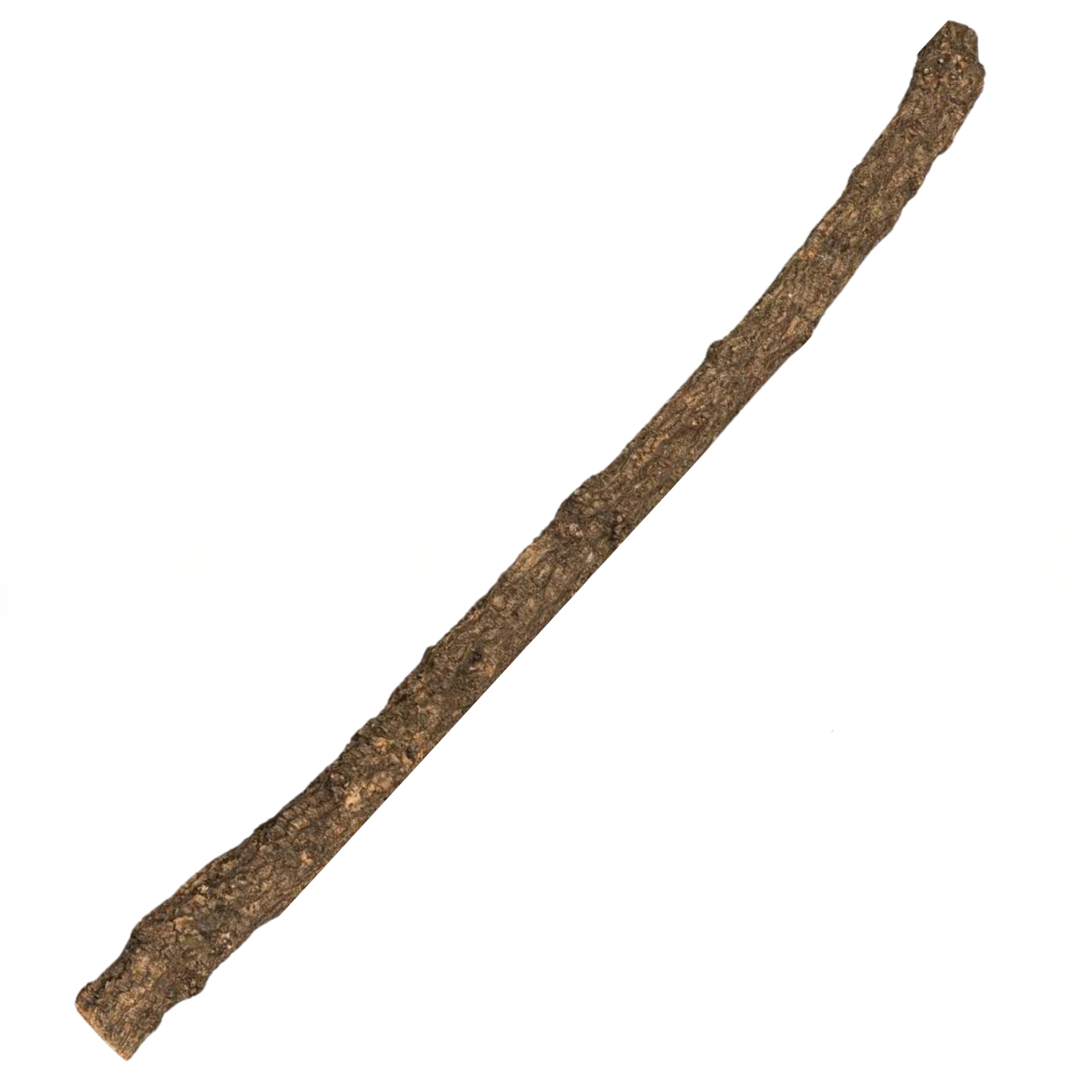 XXL Kork-AST | 160 cm lang | riesiger AST von der Korkeiche/Korkbaum | Naturkork-Rinde als Terrariumausstattung | Ernte aus Baumschnitt | Naturprodukt Made in Portugal