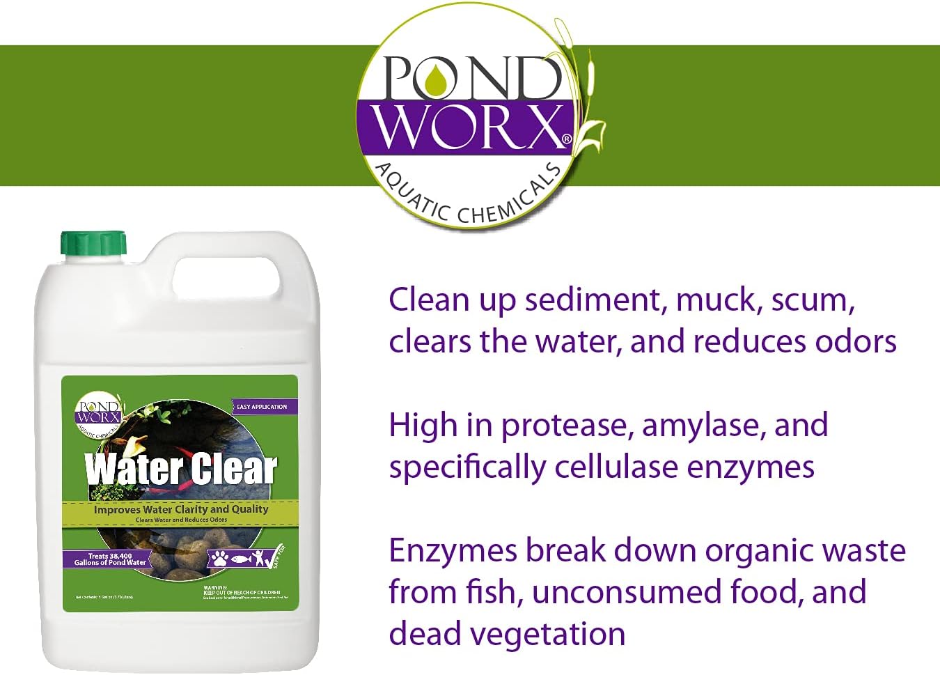 PondWorx Pond Bacteria and Water Clear- Formulated for Large Ponds, Water Features and Safe for Koi, Improves Water Quality- Gallon : Patio, Lawn & Garden