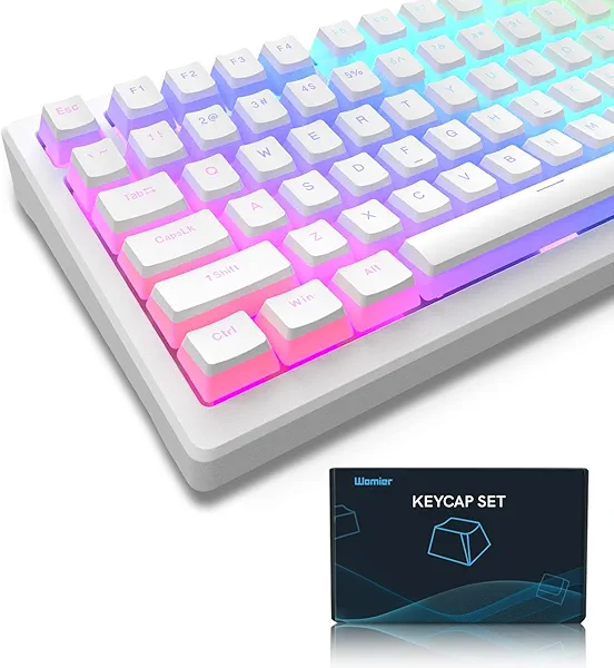 Womier Pudding Keycaps, PBT Shine Through Keycaps 165 Keys Set Custom Key caps Set OEM Profile, Universal Compatiability for 100%, 75%, 65%, 60% Keyboard-White