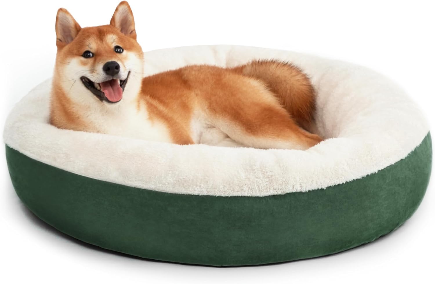 See full amazon price history chart for ROYALS RORE Dog Bed & Cat Bed for Winters Washable Reversible Pet Beds Bluee Anti Slip Hand or Machine Washable (S) ROYALS RORE Dog Bed & Cat Bed for Winters Washable Reversible Pet Beds Bluee Anti Slip Hand or Machine Washable (S) (B0D49Q17LH) Amazon Price History, Amazon Price Tracker