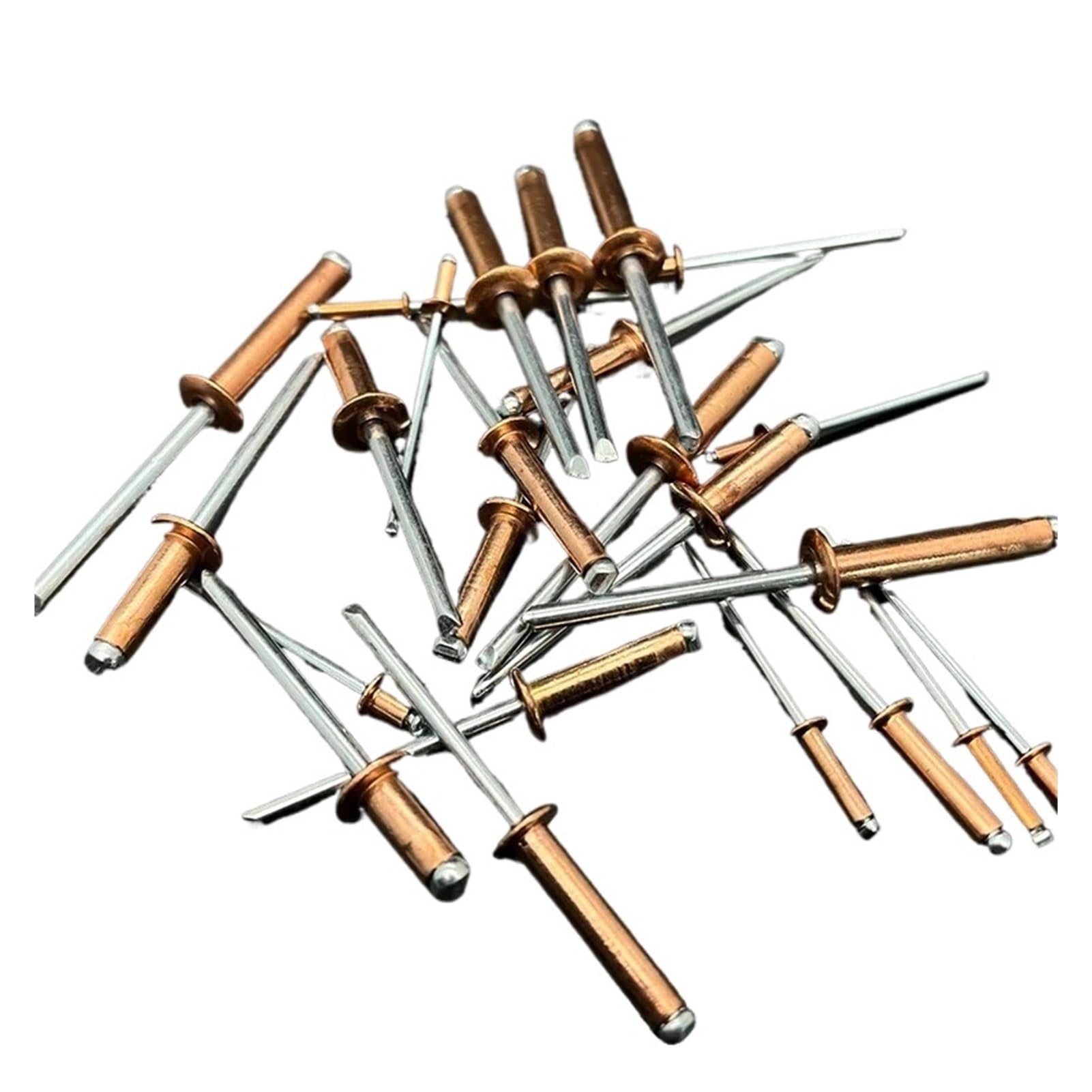 Blindniet 30/50 Stück Kupferblindnieten, offener Typ mit Kuppelkopf, korrosionsbeständige Bronze-Messingnieten(50Pcs,4.8x20 mm)