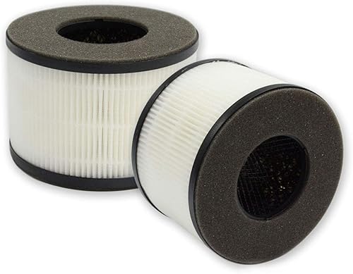 PUREBURG Filtros de repuesto compatibles con PARTU y Slevoo BS-03 Purificador de aire, paquete de 2 unidades H13 True HEPA de 3 etapas de filtración