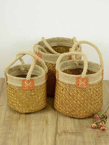 Miniatura 8 de JUOPZKENN Cestas tejidas, cesta de mimbre para plantas con asa, cesta de almacenamiento tejida de algas marinas, cestas de lavandería para ropa,