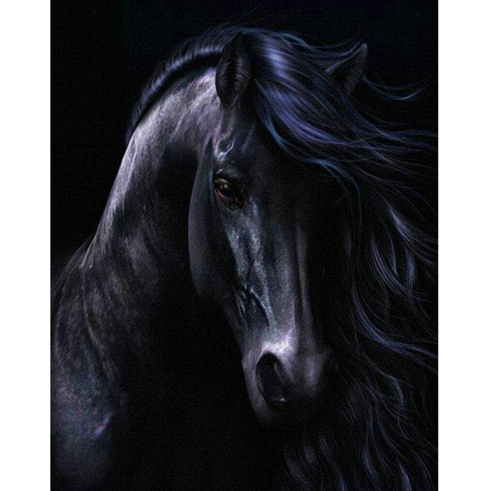 Yingxin34 Puzzle 5000 Piezas,Rompecabezas Caballo Negro,Puzzle Creativo,Puzzle Arcoiris,Puzzle Adultos-61.61x41.53 Pulgadas (156.5 x 105.5cm)