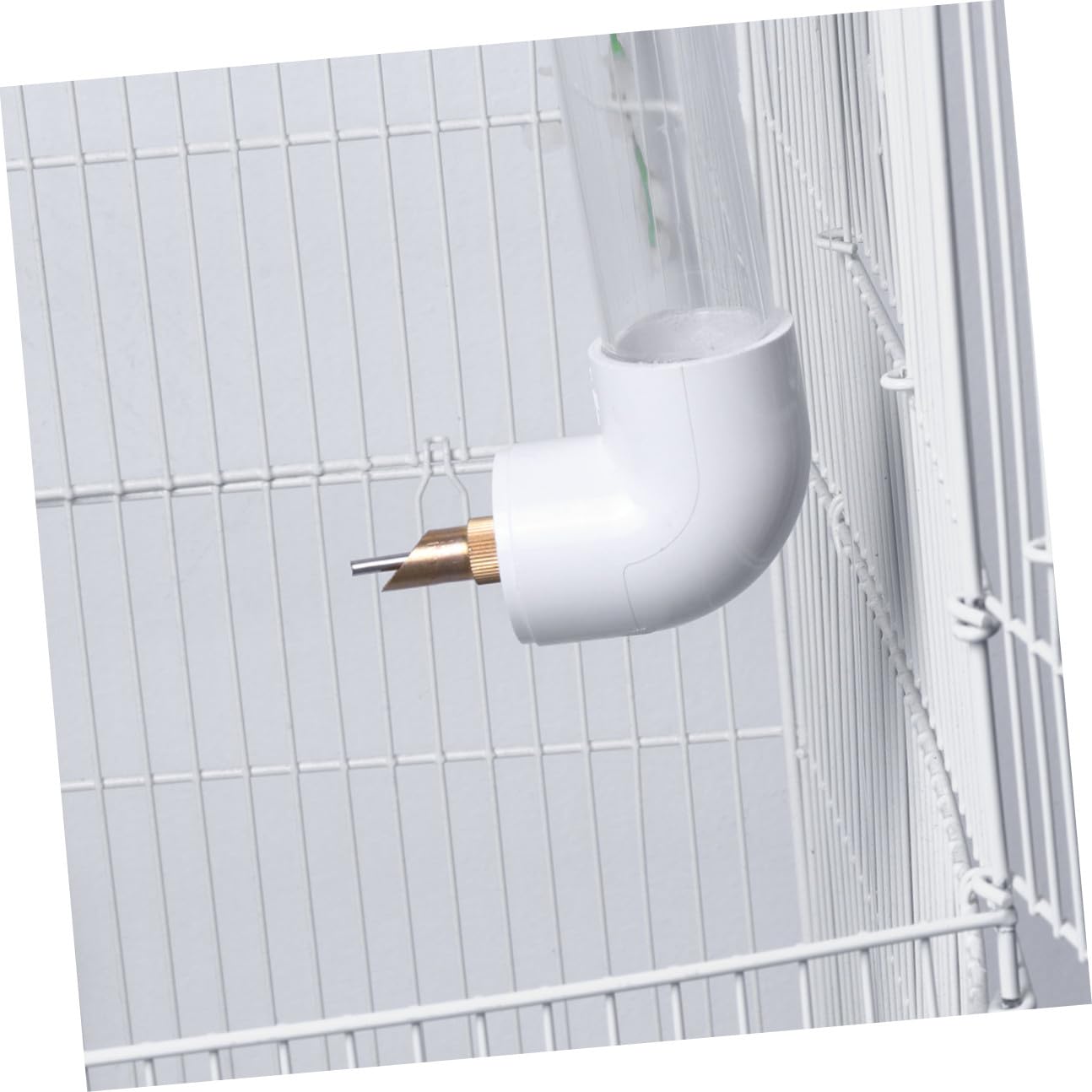 Distributore Automatico per Pappagalli Ciotola in Plastica Resistente Montaggio Parete per Uccelli e Grandi Accessorio Pratico per Idratazione e Facile Ricarica