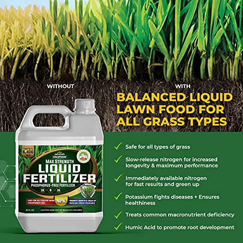 Best Zoysia Grass Fertilizers Reviewed In Detail On