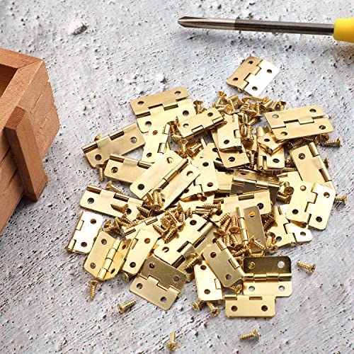 Hicarer 60 Pieces Small Hinges Retro Decorative Mini Hinges And 300 Pieces 7 Mm Micro Tiny Screws With Storage Box For Dollhouse Door Cabinet Crafts Wooden Jewelry Box Outdoor Decor, 2 Sizes (Silver) #TOP3