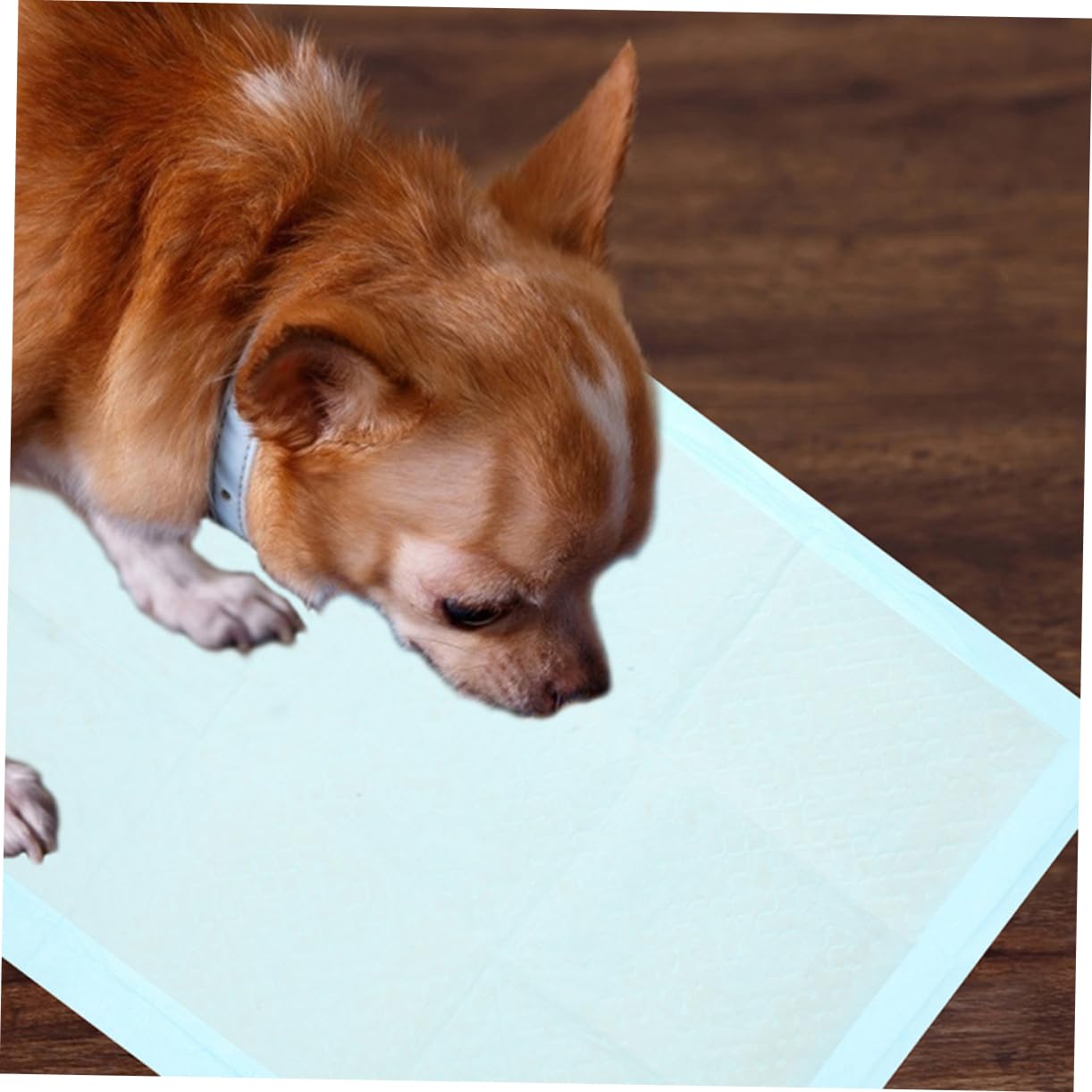 100 Piezas Unidades Almohadillas Entrenamiento Mascotas Ultra Absorbentes Impermeables Secado Rápido Desechables para Perros Gatos Adiestramiento Interior Higiene