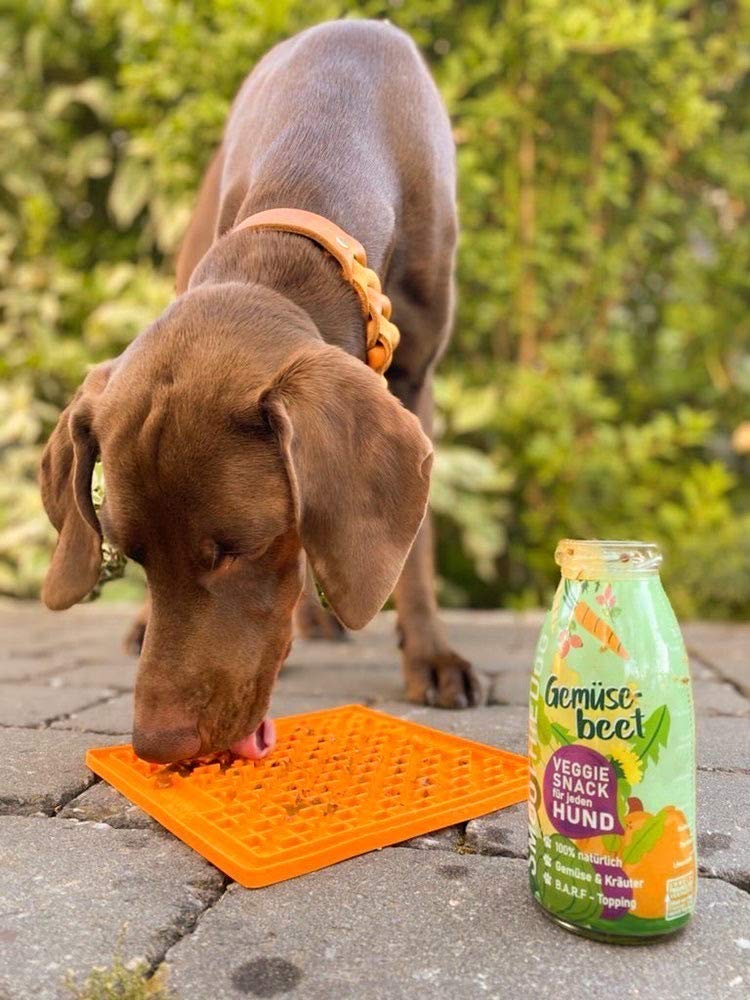 SmoothieDog 12er Probierset + Lickimat Buddy L grün 30,5x25,5cm Hundesmoothie - 4xLamm, 4xRind, 4X Huhn - je250ml Probierpaket - Gluten und Zuckerfrei (Grün)