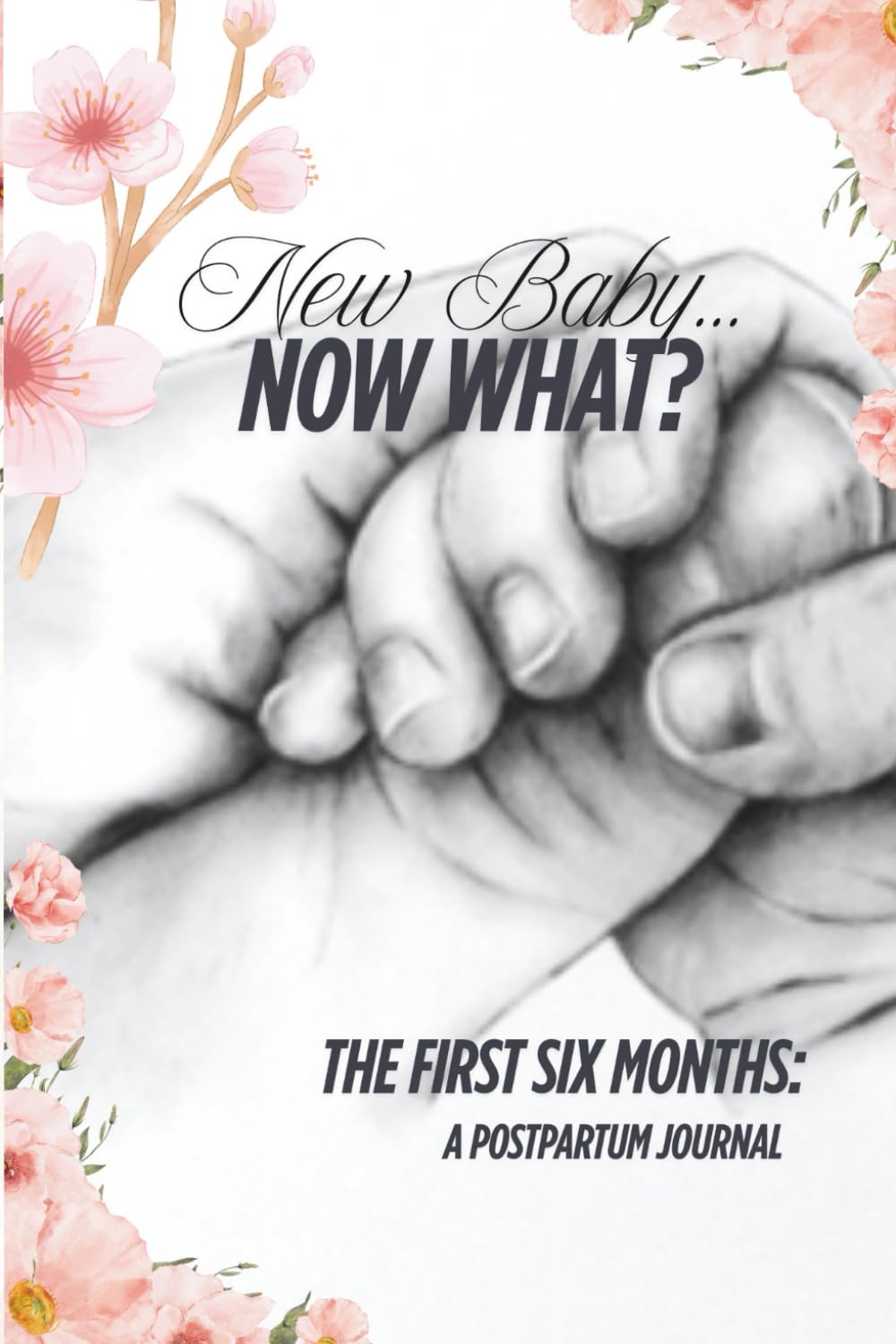 New Baby...Now What?: The First Six Months: A Postpartum Journal