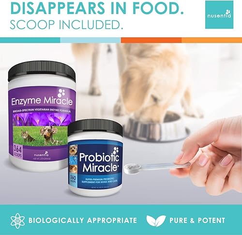 Miniatura 3 de NUSENTIA The Miracle Pack - Probióticos naturales + enzimas digestivas - Prebióticos - para diarrea, gases, heces sueltas, malestar digestivo y