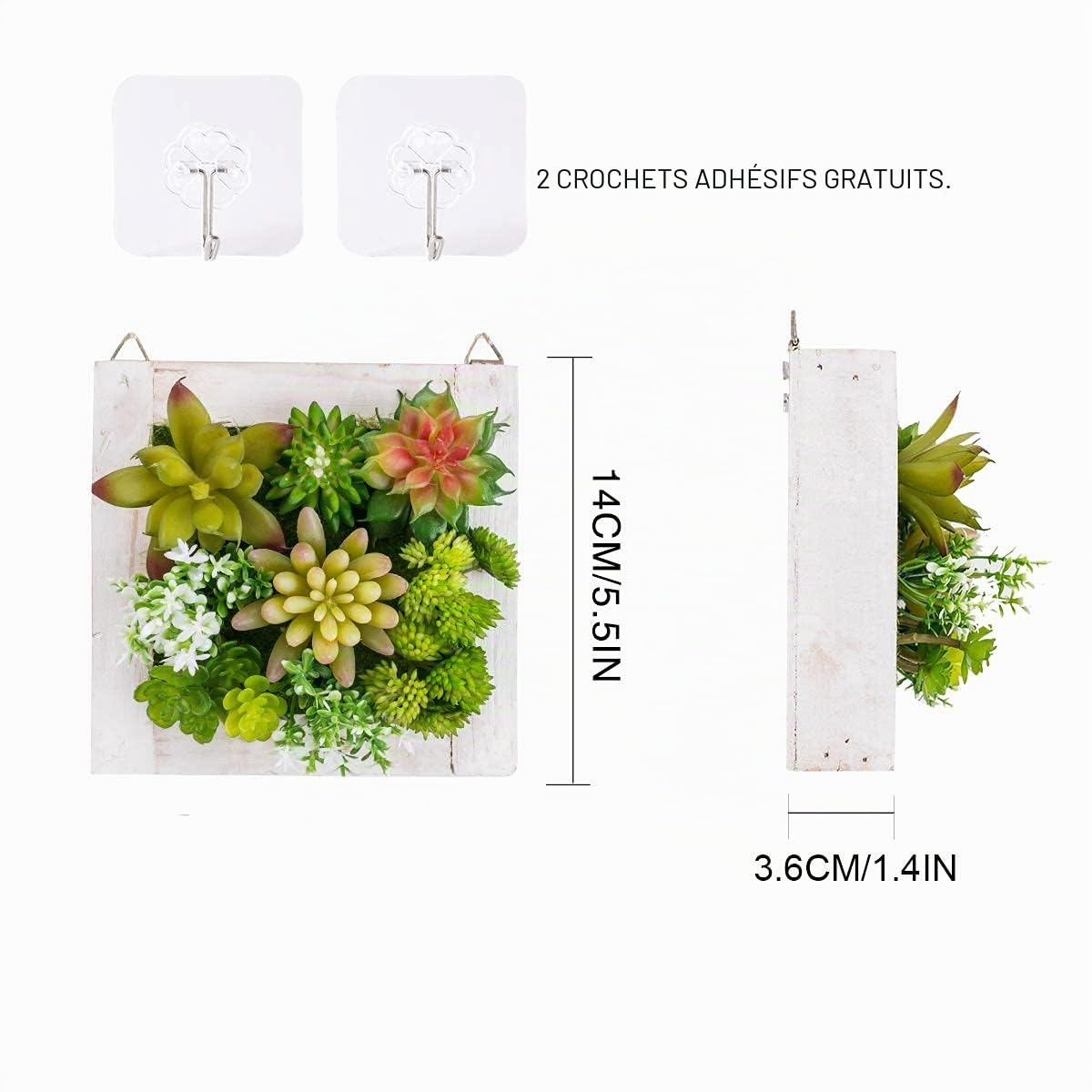 C&Z Lot de 2 plantes artificielles décoratives à suspendre pour décoration d'intérieur, plantes grasses artificielles dans un cadre en bois 3D verdure - Décoration murale pour salon, chambre d'enfant