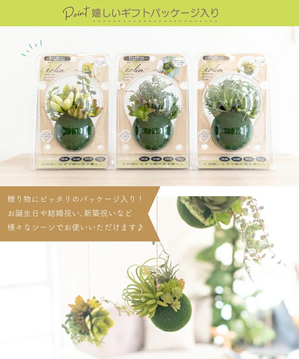 Amazon｜フェイクグリーン ミニ 吊り下げ 消臭 多肉植物 苔玉
