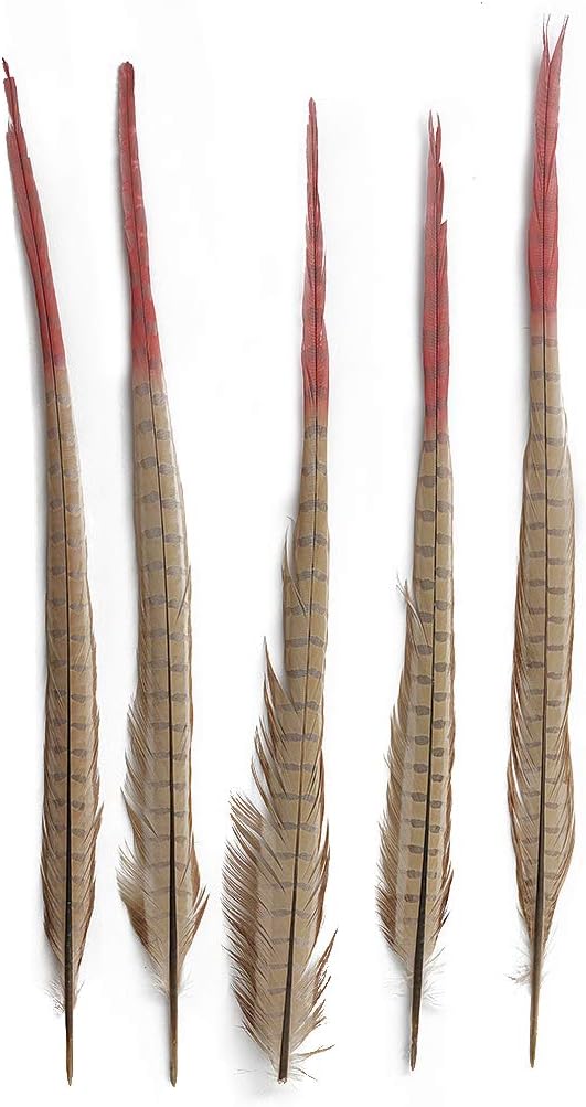 ZUCKER Multicolored Ringneck Pheasant Tail Feathers - 5pc Dyed 20-24" Long Pink Decor
