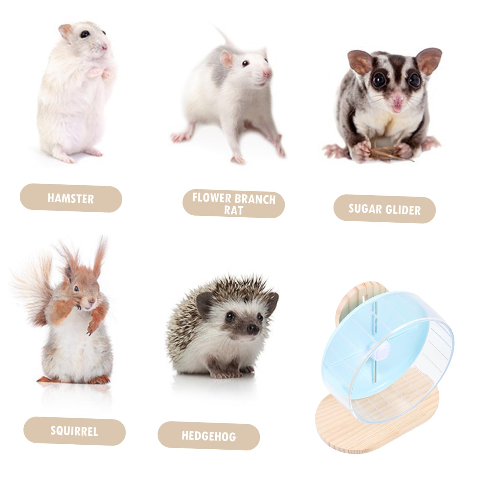 Beavorty 1juego Rueda De Ejercicio Silenciosa para Hámster Rueda De Plástico Transparente Soporte De Juguete Interactivo para Chinchillas y Roedores
