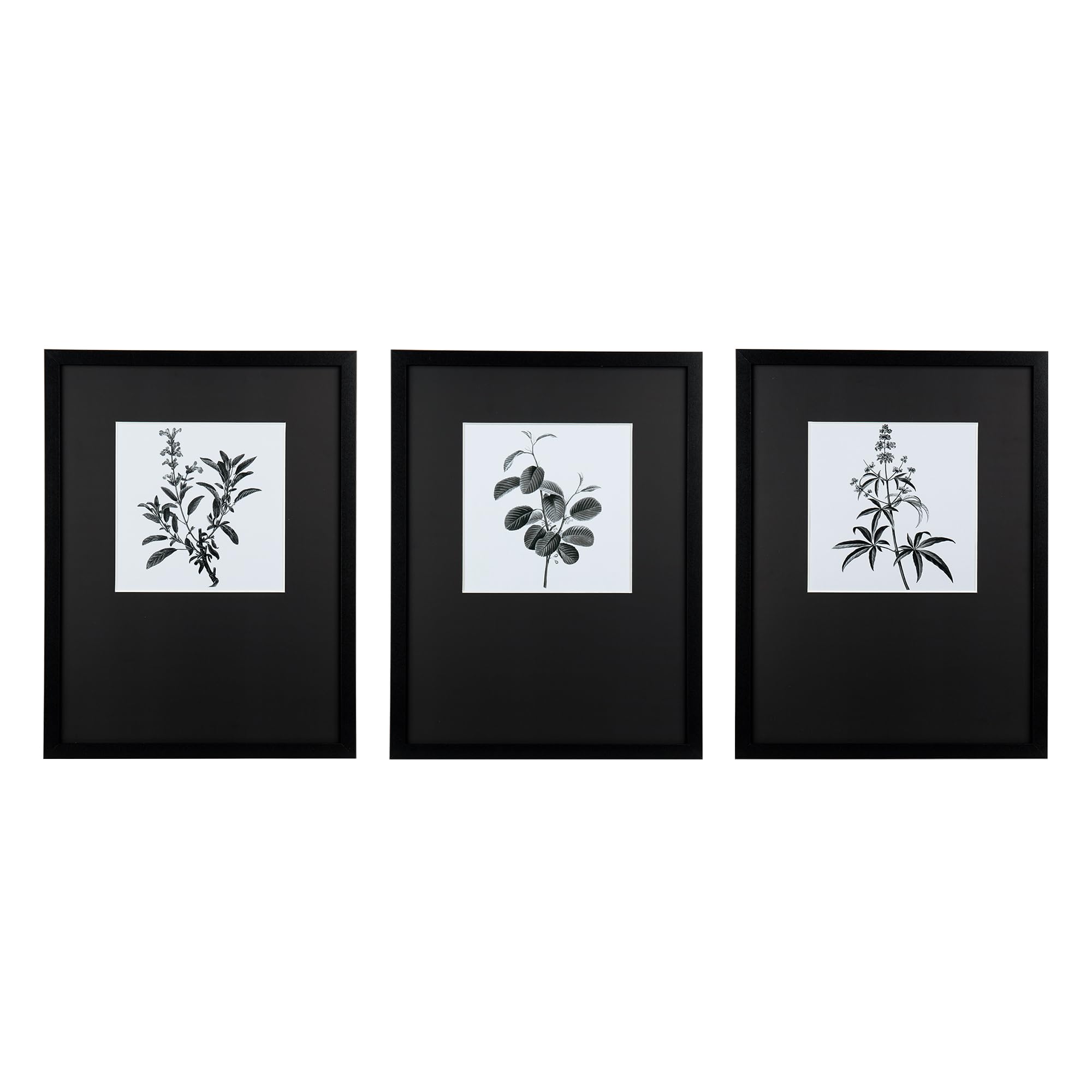 ArtbyHannah 12x16 Inches Framed Wall Art Set, Black and White Plant Wall Art for Wall Decor, Matted to 7x7 Inches, Extra Prints Set Included, 3 Pack