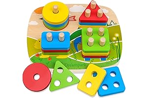 Dreampark Montessori Educational Blocks