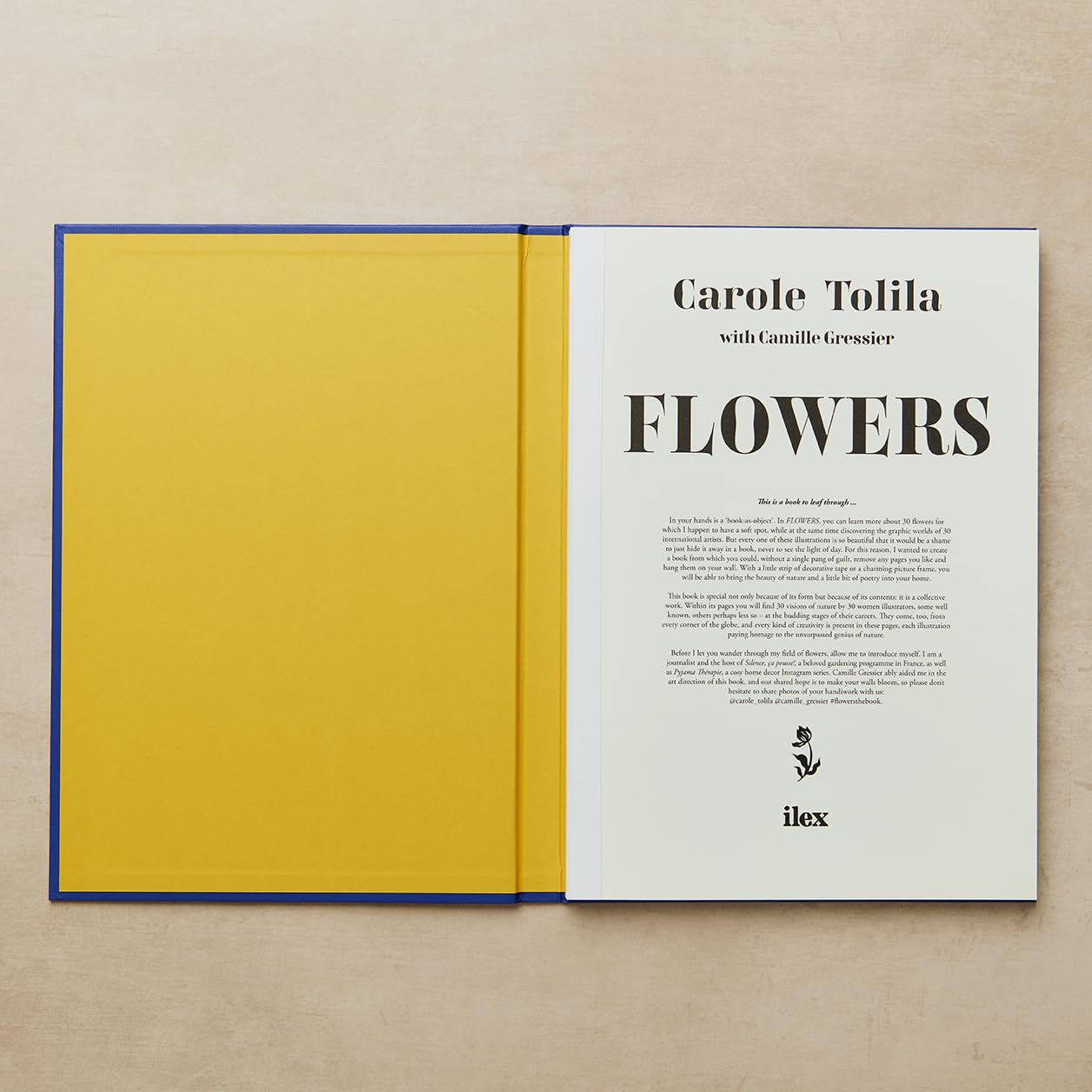 Flowers: A collection of botanical prints to admire and display