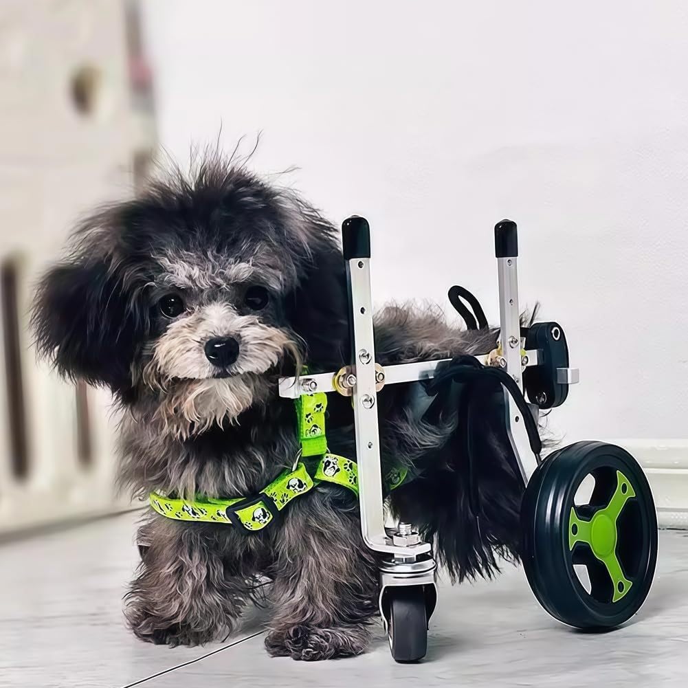 MIDUOLAI 4 Wheeled Adjustable Dog Wheelchair, Lightweight Mobility Bicycle Trailer for Disabled Pets, Easy to Assemble, Supports Walking and Exercise,Green,M