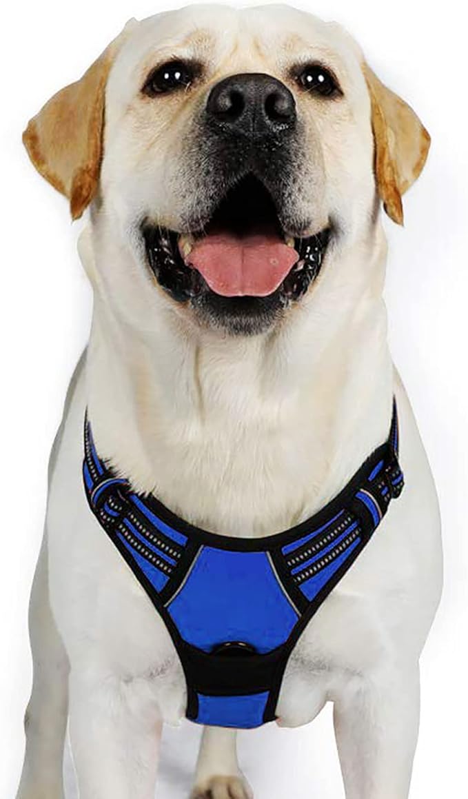 rabbitgoo Dog Harness Large Dog No Pull Pet Harness with 2 Leash Clips