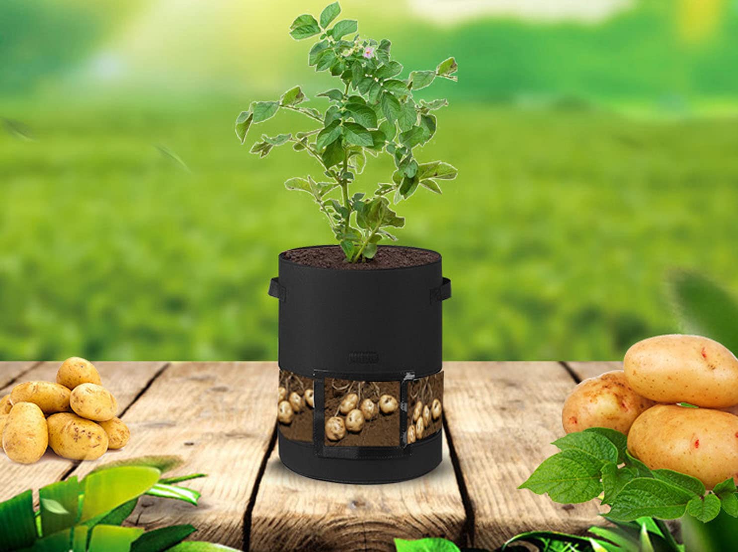 MAI USATO]Sacco Per La Coltivazione Di Patate, Sacco Per Piantare In Giardino Contenitore Per Orto Da Esterno Terriccio Per Piante Da Interno Orto Balcone Frutta Compost 7 Galloni10 Galloni 89448977