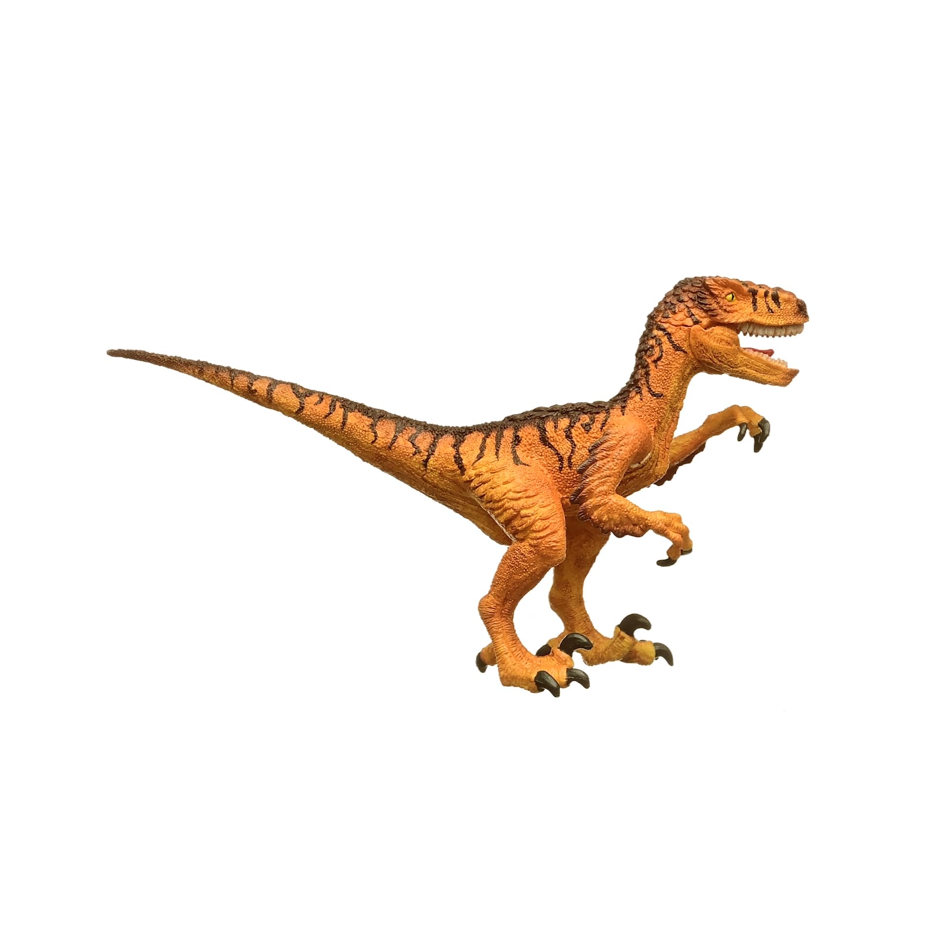 (未使用･未開封品)　シュライヒ 恐竜 ベロキラプトル フィギュア 14585 wyeba8q 71z-lLRaN2L._UF350,350_QL80_.jpg