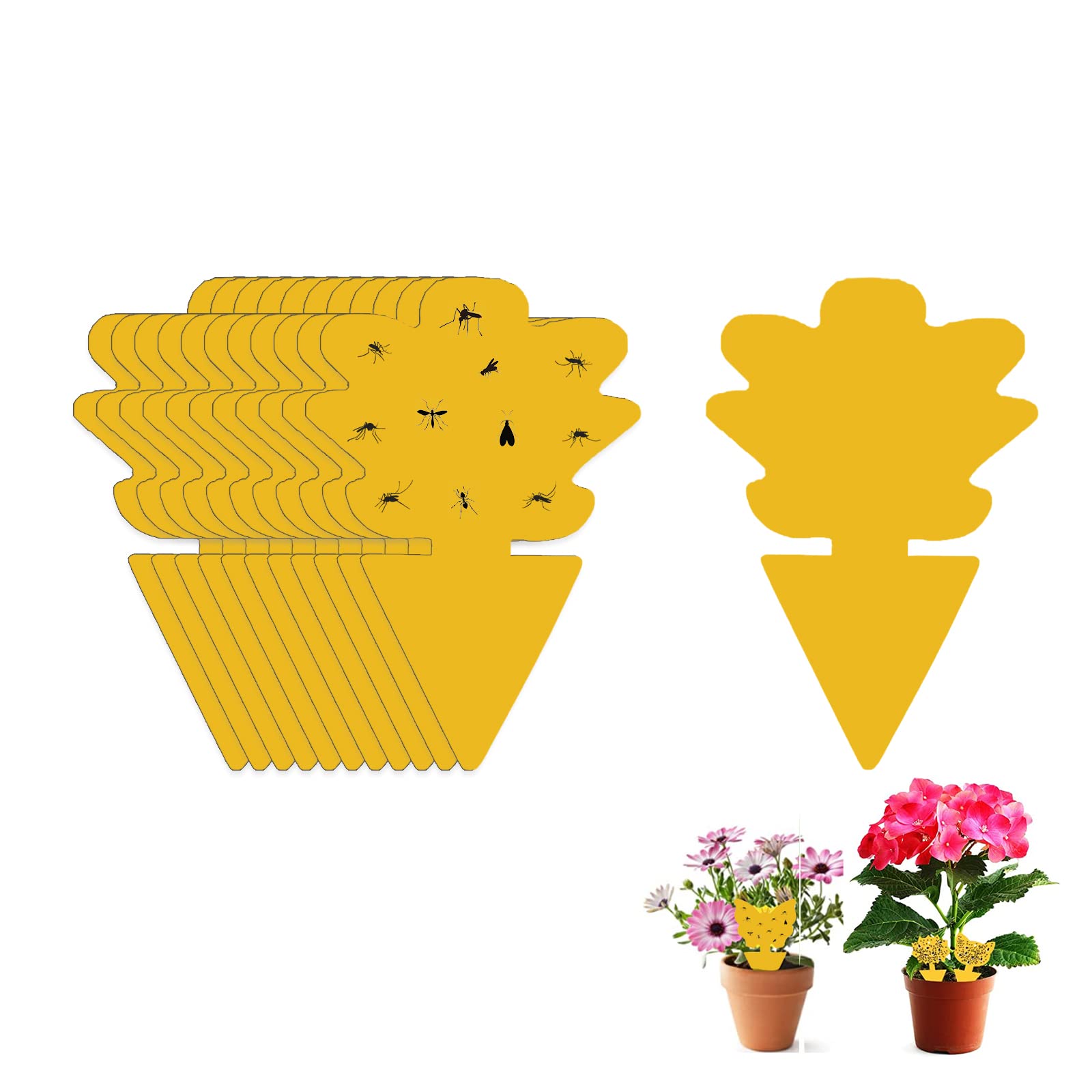 Fruit Fly Sticky Trap, 24PCS Fungus Gnat Traps Insect Trap, yellow sticker protection plant for Kitchen Indoor Outdoor Catch White Flies Mosquitos Fungus Flying Insects Houseplant (Succulent)