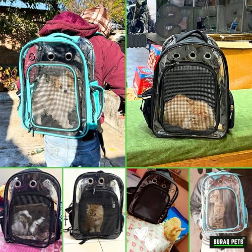 Image of Buraq Breathable Design Pet Carrier Backpack for Hot Weather Travel, Hiking, Ventilated, Touring, Airline-Approved, Sturdy Base cat Bag for Cats Kitten Puppy Rabbit Bird (Black)