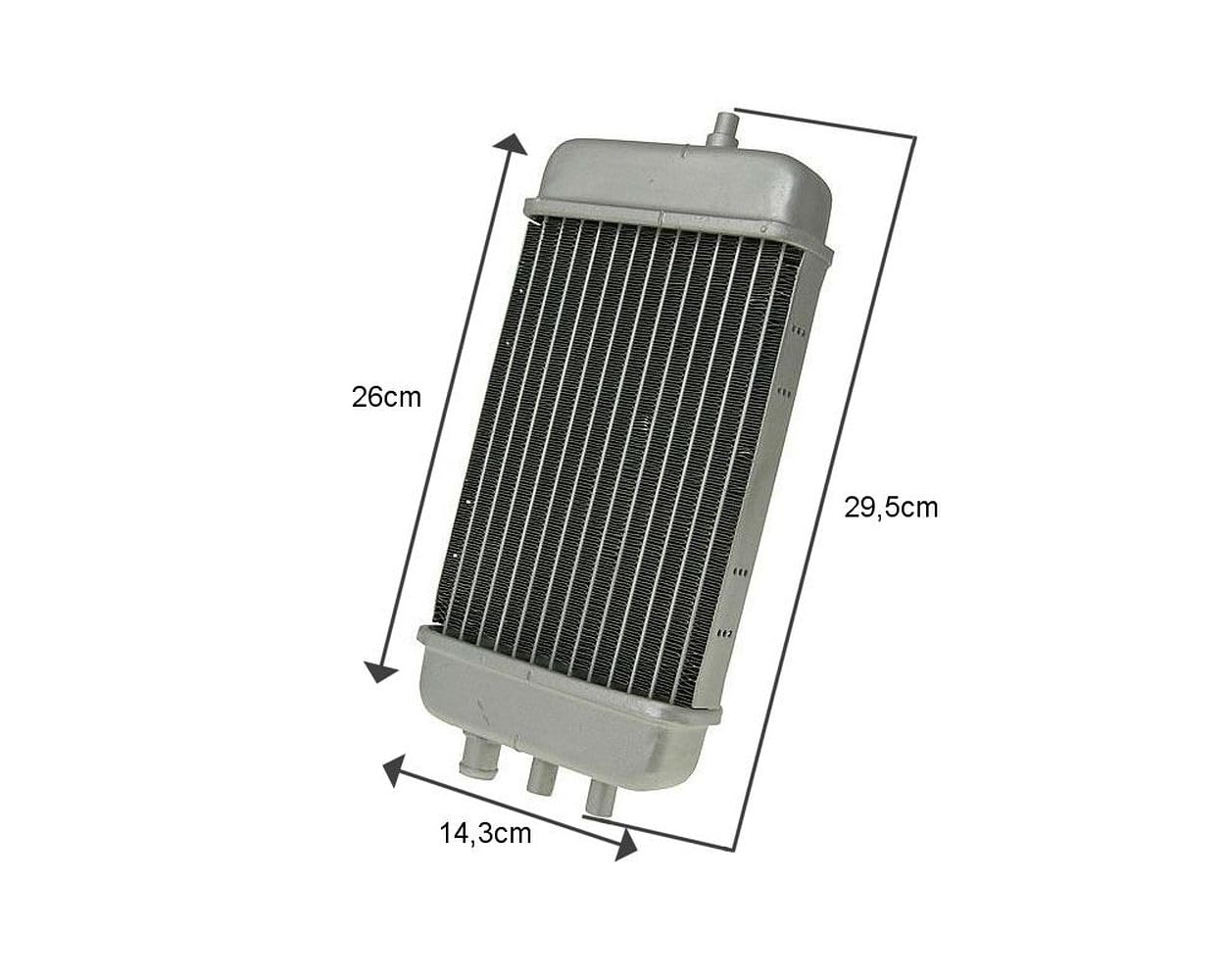Radiador 2EXTREME compatible con Aprilia RX, SX SM, Derbi Senda R, Gilera RCR, SMT, ciclomotor de marchas 50cc